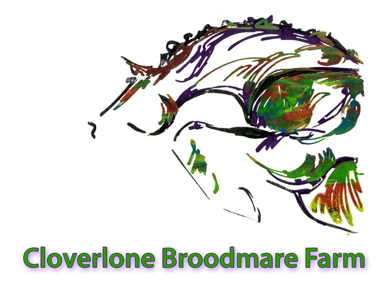 Cloverlone Broodmare Farm