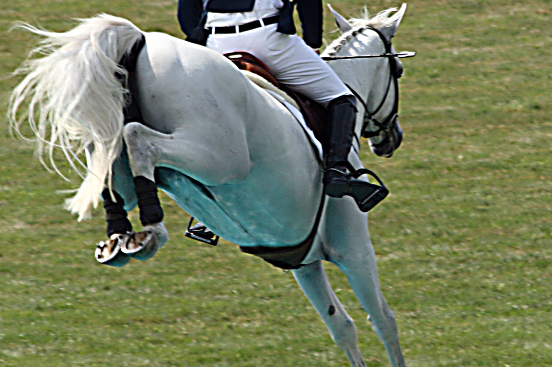 Grand Prix Jumper water jump